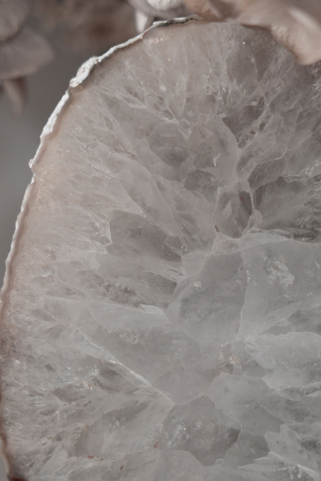 Nervous System Reset | Drops